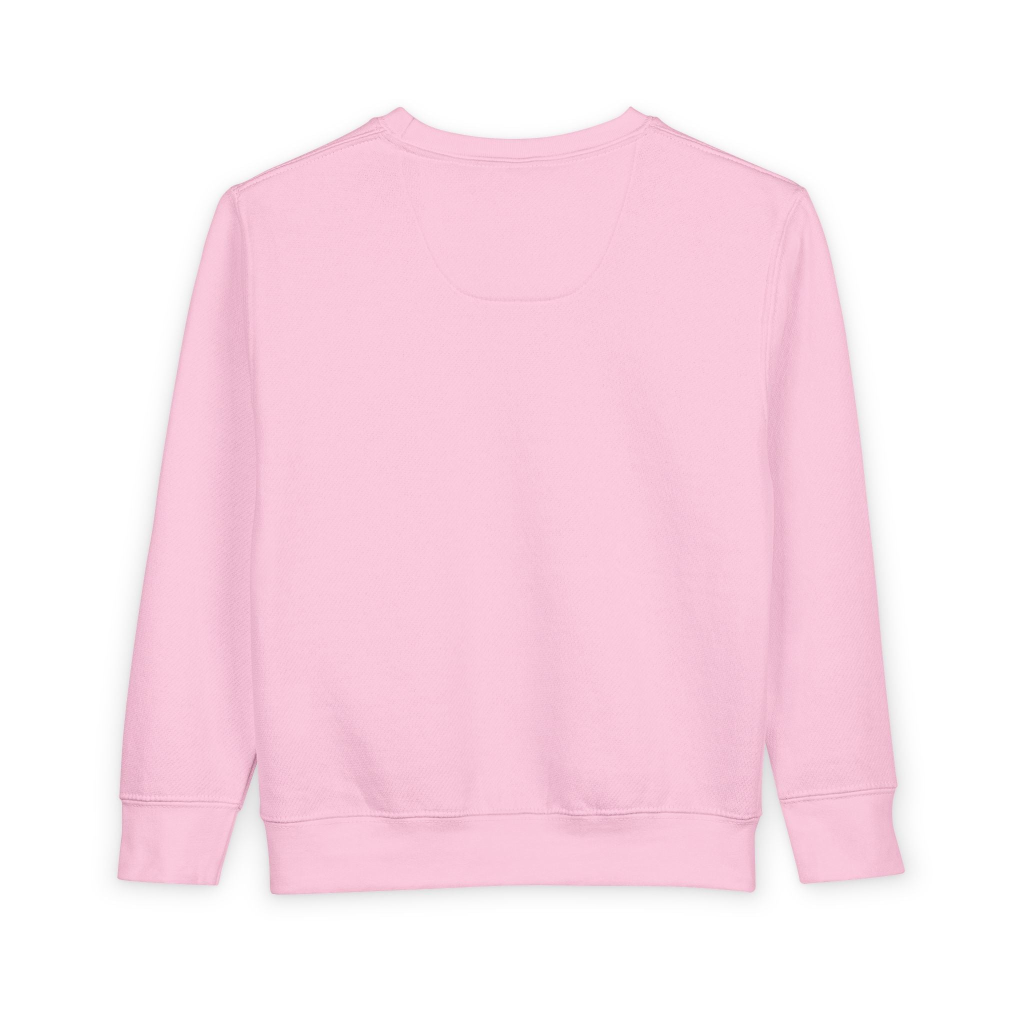 ExoMagica Toddler Sweatshirt